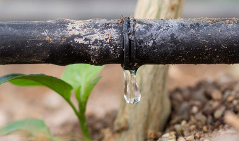 Drip irrigation