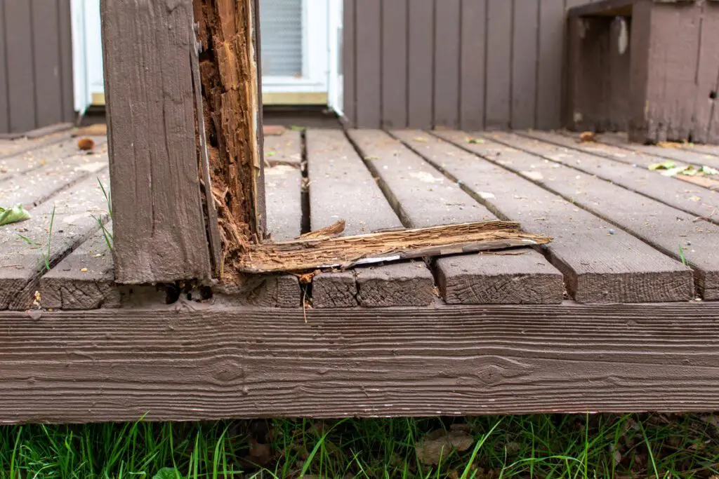 wood rot repair in Marysville
